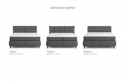Treviso I von COTTA - Boxspringbett black