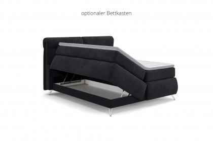 Treviso I von COTTA - Boxspringbett black
