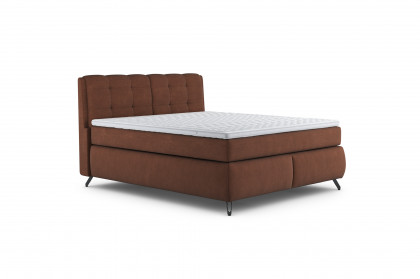 Treviso III von COTTA - Boxspringbett tobacco