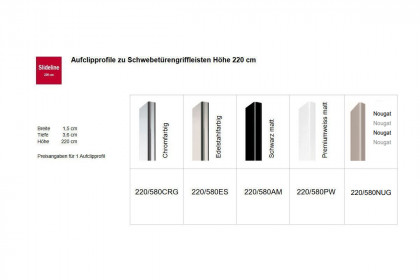 Slideline von JUTZLER - Schwebetürenschrank mit Kurztiefe grün - schwarz