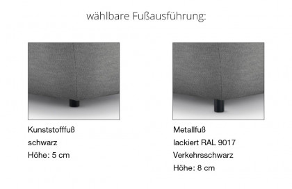 CR.480 von creation by Rolf Benz - Polstersofa lichtgrau-schwarzgrau