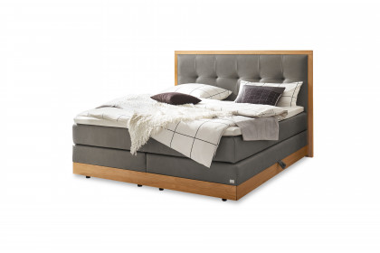 Pronto von Hasena - Boxspringbett Alba in Steel