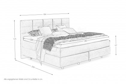 OC-BX23164 von Oschmann - Boxspringbett KT 10002B grey