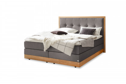 Pronto von Hasena - Boxspringbett Alba in Grey