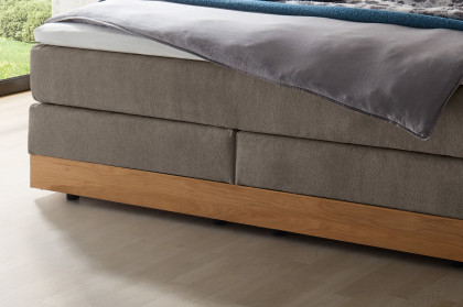 Pronto von Hasena - Boxspringbett Pedrosa in Grey