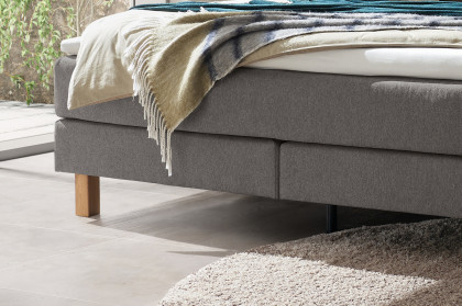 Pronto von Hasena - Boxspringbett Bonita in Grey