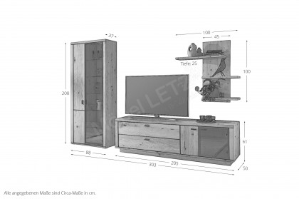 Malaga von IDEAL Möbel - Wohnwand in Eiche Artisan und schwarzem Aluminium
