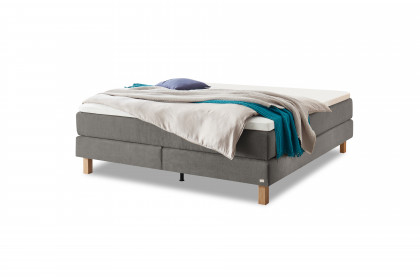Pronto von Hasena - Boxspringbett Carlota in Grey
