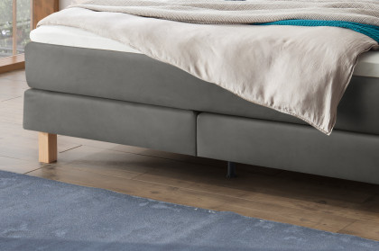 Pronto von Hasena - Boxspringbett Carlota in Steel