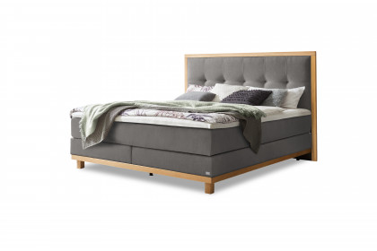 Pronto von Hasena - Boxspringbett Cecilia in Grey