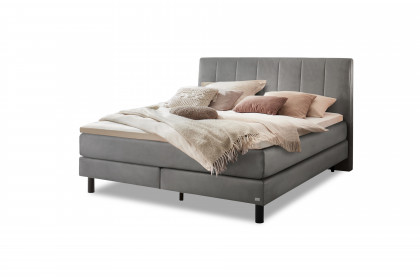 Pronto von Hasena - Boxspringbett Donna in Steel