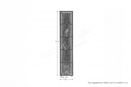 Selino von Hartmann - Vitrine Kerneiche/ anthrazit 