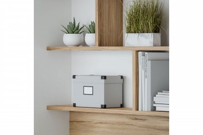 S-Room von Forte - Schrankbett 140x200 cm vertikal klappbar weiß - Eiche