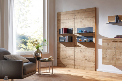 Ferrara von Schösswender - Regalelement FE 06 Risseiche