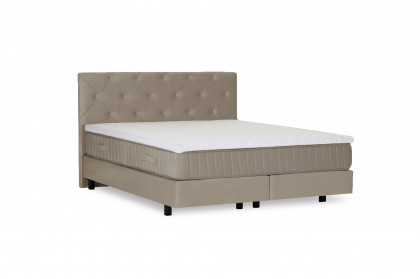 Toddy von GUTMANN - Boxspringbett schlamm