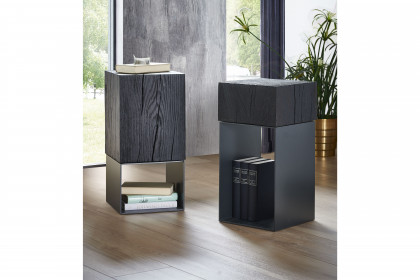 Naturstücke von Hartmann - Beistelltisch Kernesche anthrazit/ Metall anthrazit