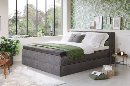 Milano von COTTA - Boxspringbett anthracite