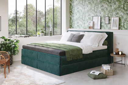 Milano von COTTA - Boxspringbett hunter