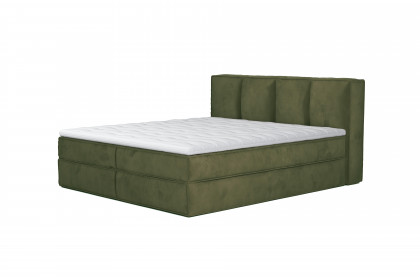 Milano von COTTA - Boxspringbett olive