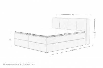 Milano von COTTA - Boxspringbett olive