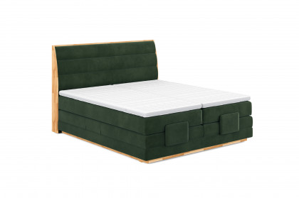 Palma I von COTTA - Boxspringbett dark-green mit Motor