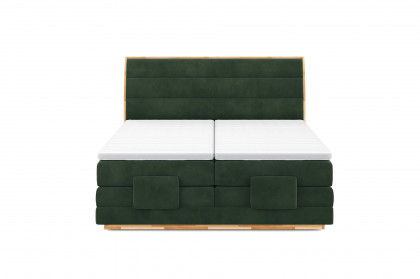 Palma I von COTTA - Boxspringbett dark-green mit Motor
