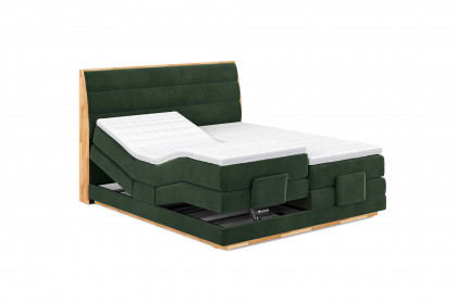 Palma I von COTTA - Boxspringbett dark-green mit Motor
