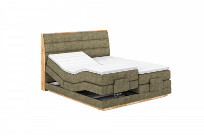 Palma I von COTTA - Boxspringbett moss mit Motor