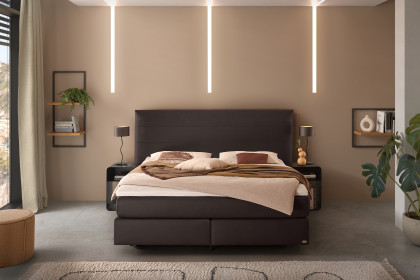 Comfort von Hasena - Boxspringbett Mary in Chocolate