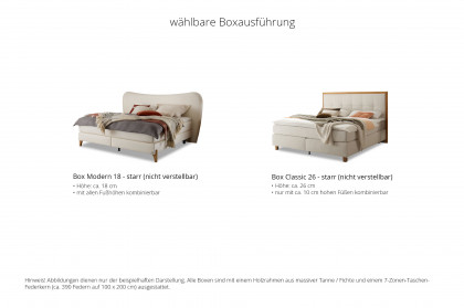Comfort von Hasena - Boxspringbett Mary in Chocolate