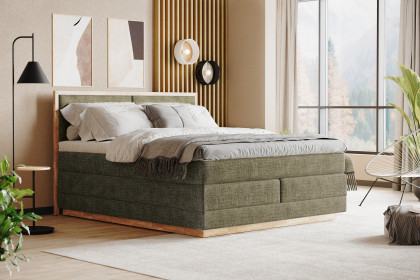 Palma III von COTTA - Boxspringbett moss