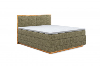 Palma III von COTTA - Boxspringbett moss