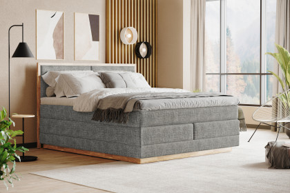 Palma III von COTTA - Boxspringbett mouse