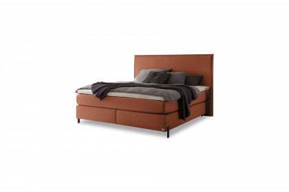 Comfort von Hasena - Boxspringbett Fiona in Pican