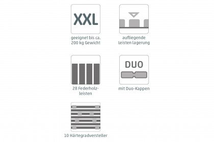 Maxximus-L2110 NV von Sun Garden - XXL-Lattenrost 90 x 200 cm