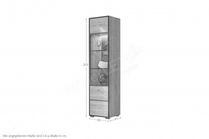 Rosa von Elfo Möbel - Vitrine 3701 inklusive Beleuchtung Eiche