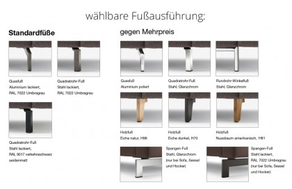 CR.450 von creation by Rolf Benz - Polstersofa graubraun