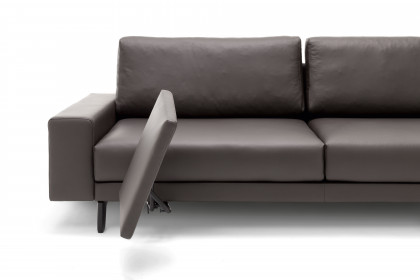 CR.450 von creation by Rolf Benz - Polstersofa graubraun