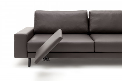CR.450 von creation by Rolf Benz - Polstersofa graubraun