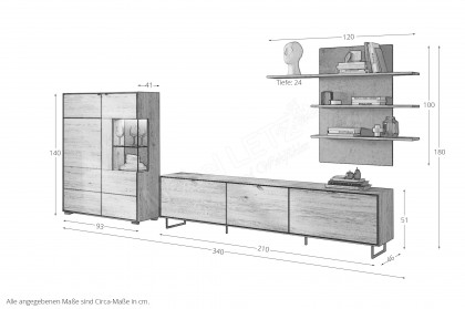 Rosa von Elfo Möbel - Wohnwand Eiche, inklusive Beleuchtung