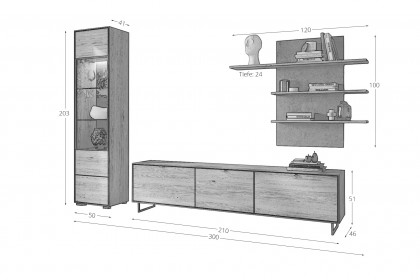 Rosa von Elfo Möbel - Wohnwand inklusive Beleuchtung