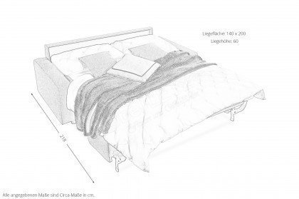 Phönix-Sleep von Nehl - Funktionssofa grau