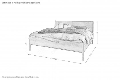 Arola von Schöner Wohnen - Komfortbett Eiche 180x200 cm