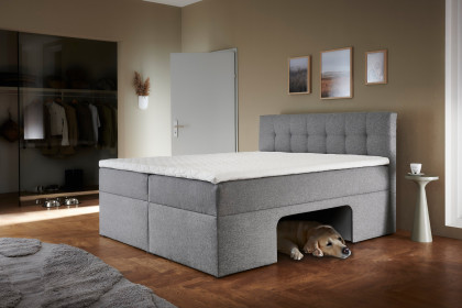 Petty von Sofa-Team - Boxbett mit Haustierhöhle hellgrau