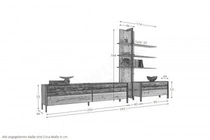 Steel living von Thielemeyer - Wohnwand Wildeiche gebürstet/ Spaltholz