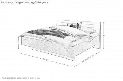 Ancona von Wiemann - Bett 160x200 cm Bianco-Eiche mit Polsterkopfteil