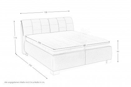 OC-PB21098 von Oschmann - Polsterbett 180 KT 0864 anthrazit