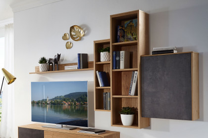 Selecto von Schösswender - Hängeregal SE 35OR Wildeiche/ Metall Rost