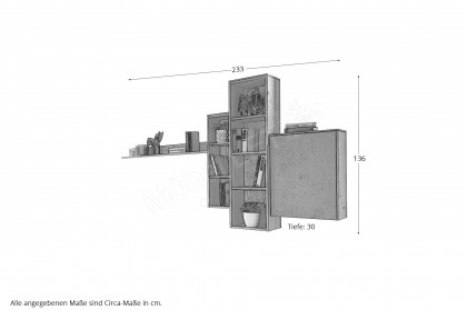 Selecto von Schösswender - Hängeregal SE 35OR Wildeiche/ Metall Rost