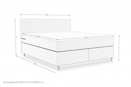 BX-LE-01 von SW KOLLEKTION - Boxspringbett creme